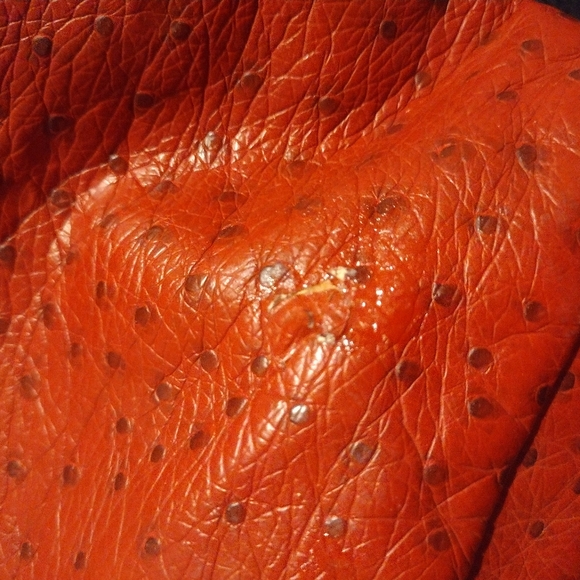 Destroyed Bag - Picture 11 of 11